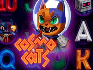 Cosmo Cats